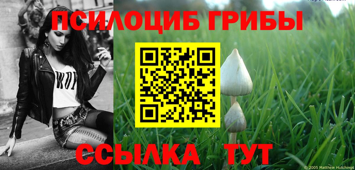 Галлюциногенные грибы Magic Shrooms Ковров