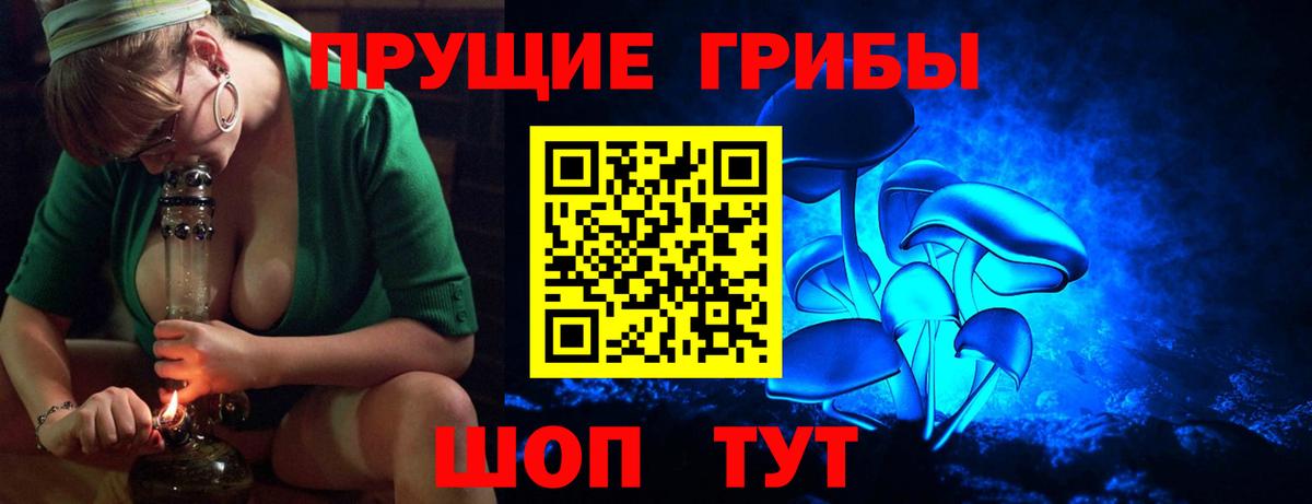 Галлюциногенные грибы Cubensis  Галлюциногенные грибы прущие грибы  Вход с VPN  Ковров 